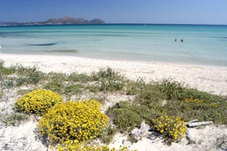 Apartment Alcudia Ocean View Extérieur photo